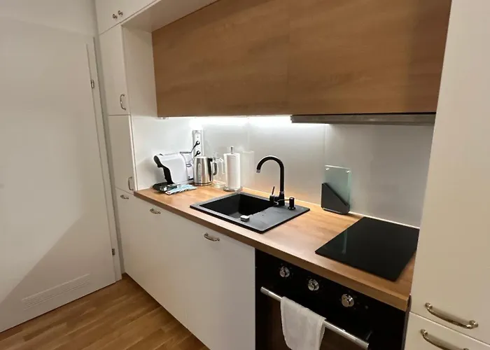 Magnolia Appartement Vienne